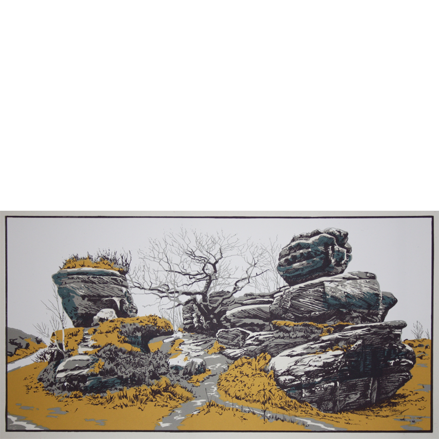 Old-oak-at-Brimham copy